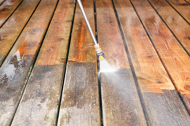 Animal Enclosure Cleaning in Oskaloosa, KS
